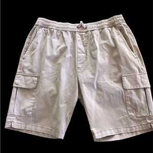Civil Society Brett Men's Cargo Shorts, size 34,color Mauve, NWT